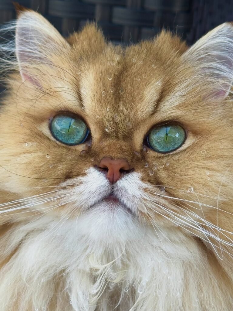 Freddy photo 5